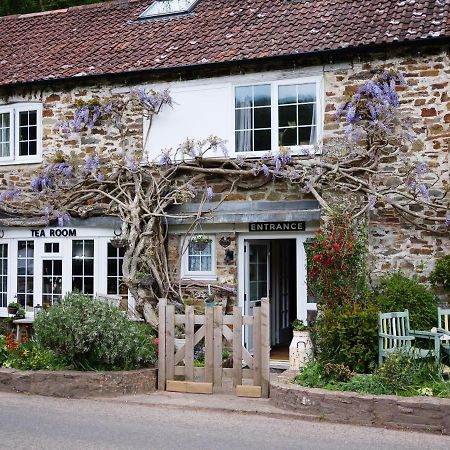 Bed and Breakfast The Bark House Oakford Exteriér fotografie