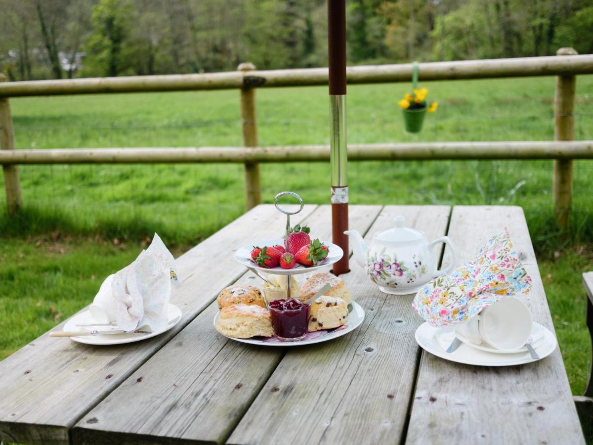 Bed and Breakfast The Bark House Oakford Exteriér fotografie