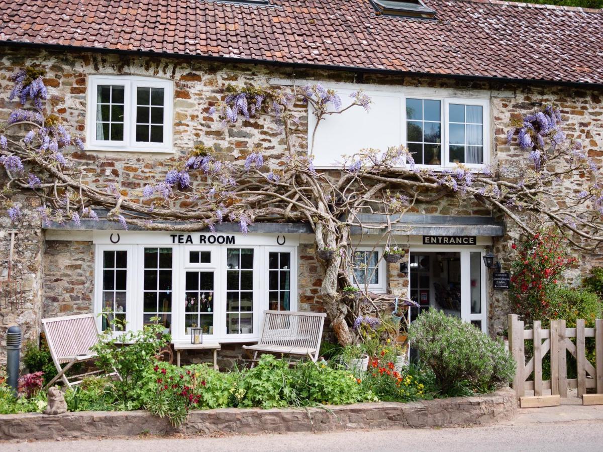 Bed and Breakfast The Bark House Oakford Exteriér fotografie