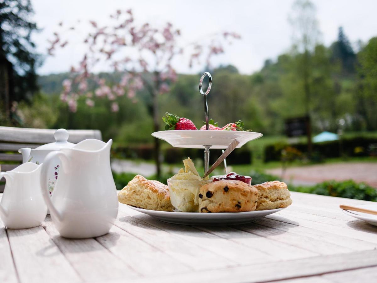 Bed and Breakfast The Bark House Oakford Exteriér fotografie